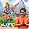 About Jay Jay Bholenath Song